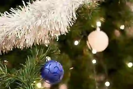 Новый год 2026 и Рождество в до Компонент