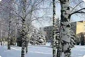 Новый год 2026 в Софрино