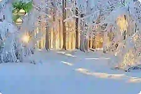 зимой встречаем новый год