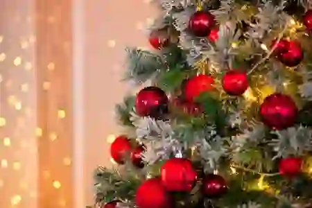 Новый год 2026 в отеле Лесной