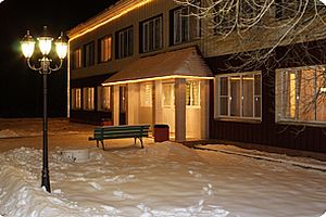 новый год в отеле сосновый бор отель Сосновый бор на Новый год